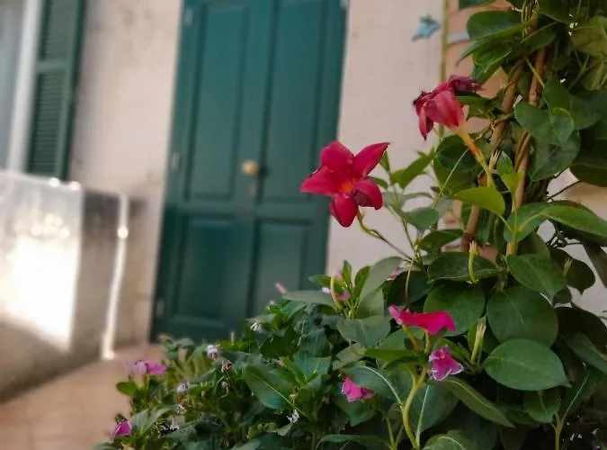 Il Caminetto マテーラ